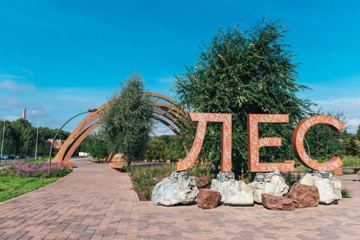 Горкинско-Ометьевский лес в Казани